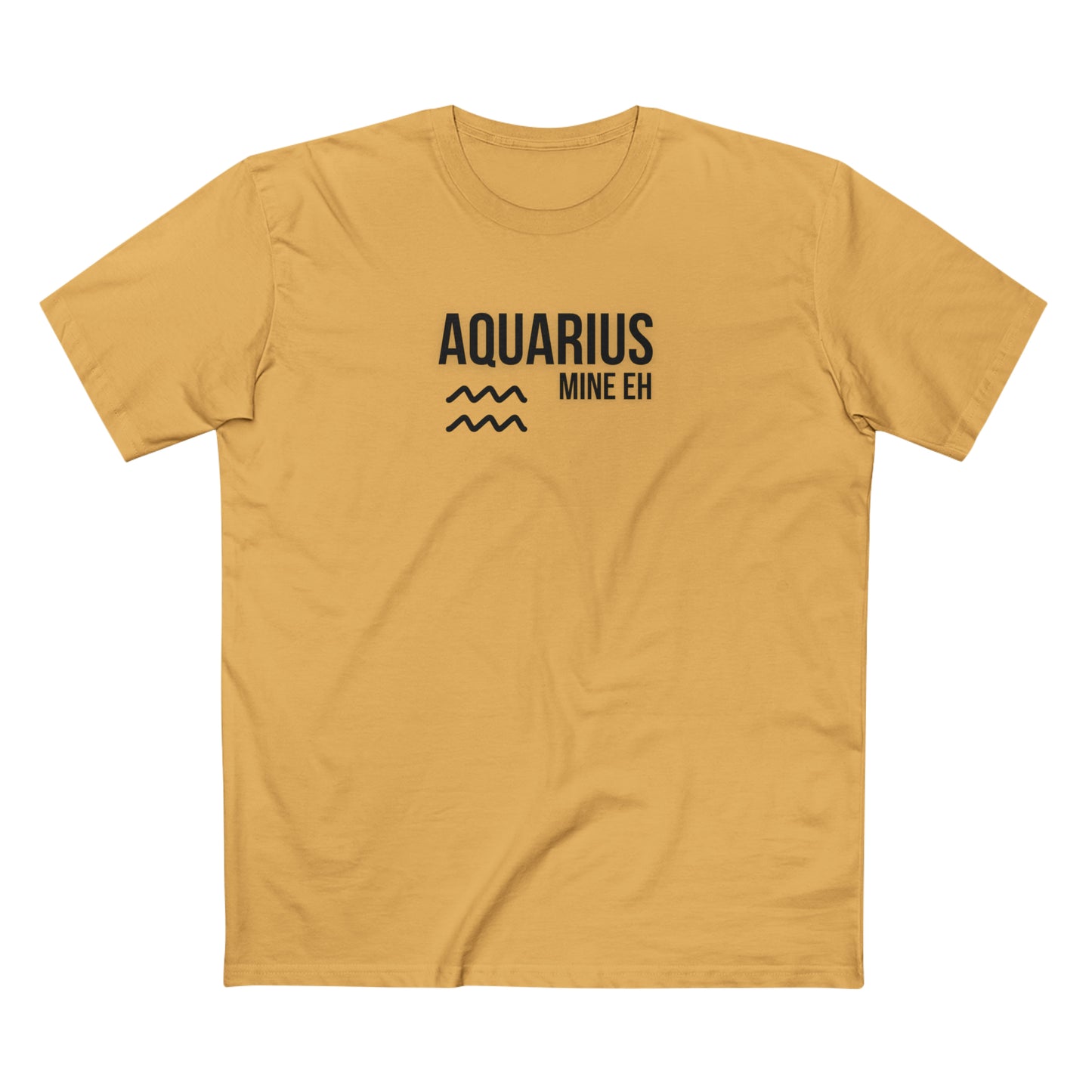 Aquarius Unisex Tee